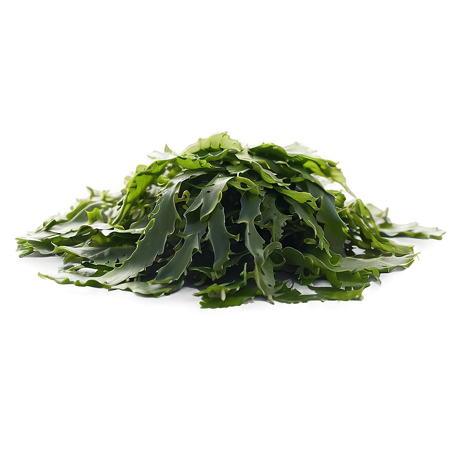 Seaweed Vegan Food Png Ifl12