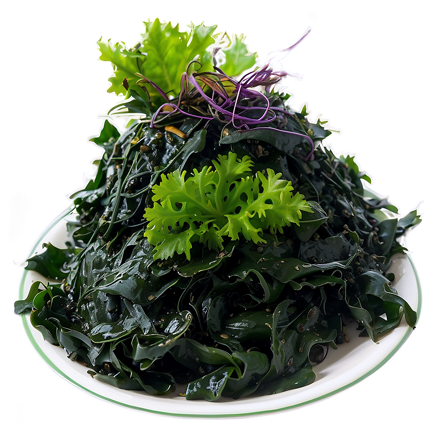 Seaweed Vegan Food Png Ofs9