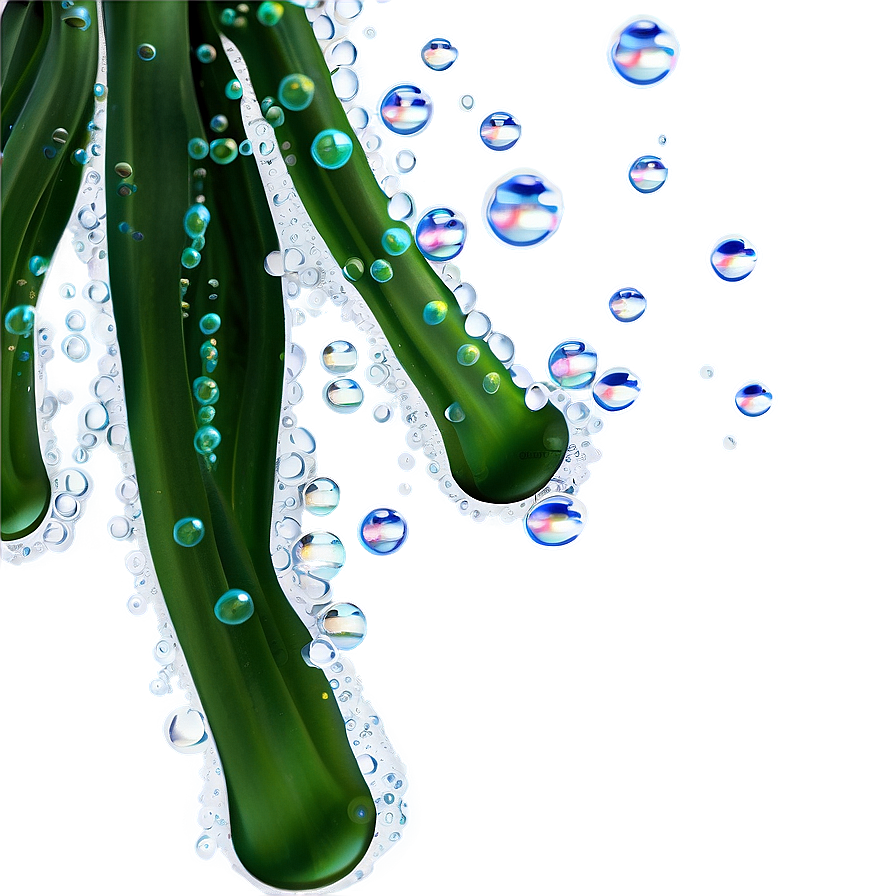 Seaweed With Bubbles Png 05242024