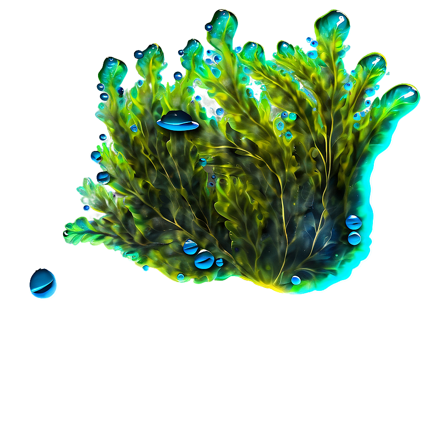 Seaweed With Bubbles Png Lsu30