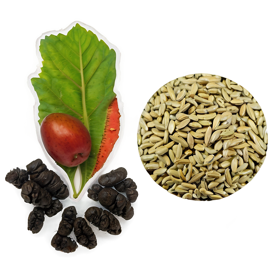 Seed Exchange Event PNG ema15 PNG with transparent background