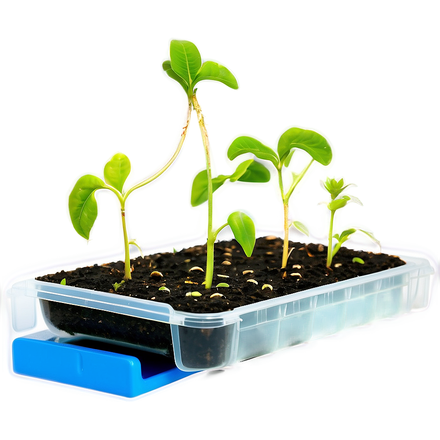 Seed Propagation Mat PNG 06122024 PNG with transparent background