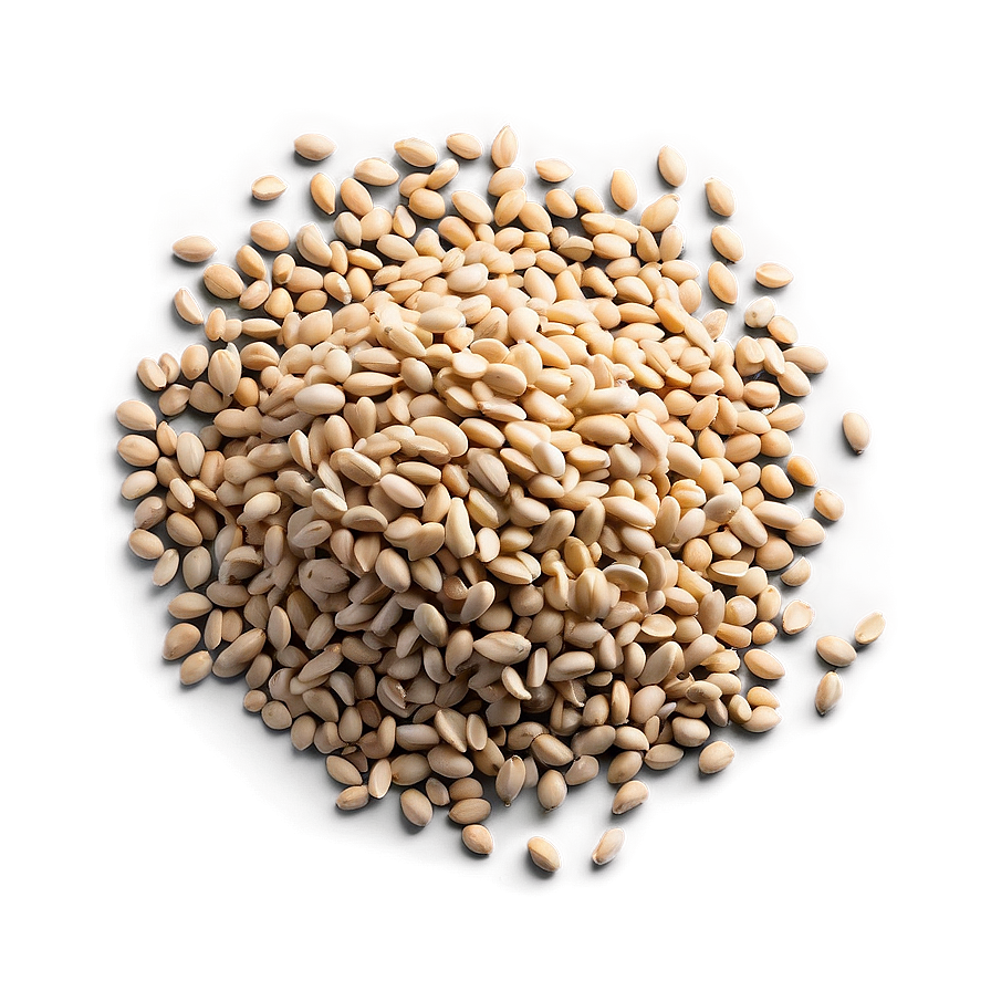 Seed Viability Test PNG 06122024 PNG with transparent background