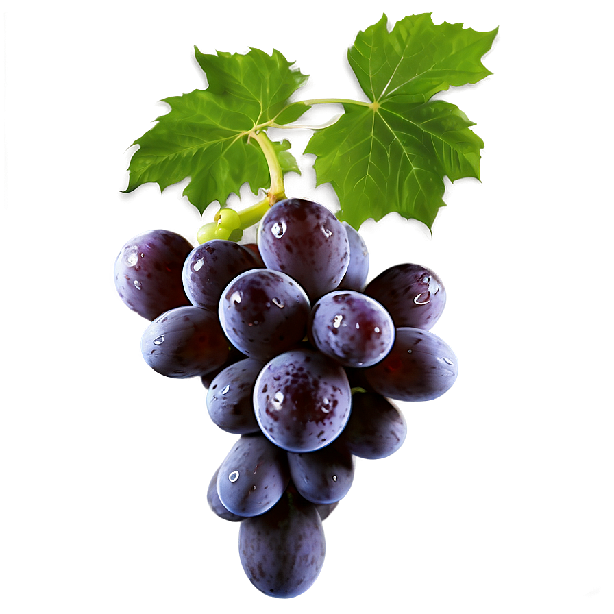 Seedless Grape Png Vnm13