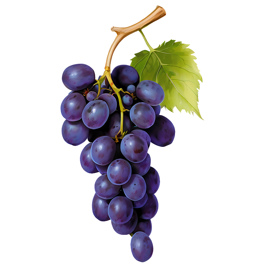 Seedless Grape Png Yqi89