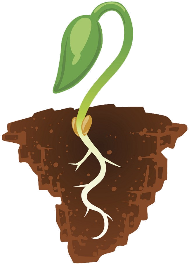 Soil Clipart Transparent Png - Soil Clipart Png, Png Download PNG with transparent background