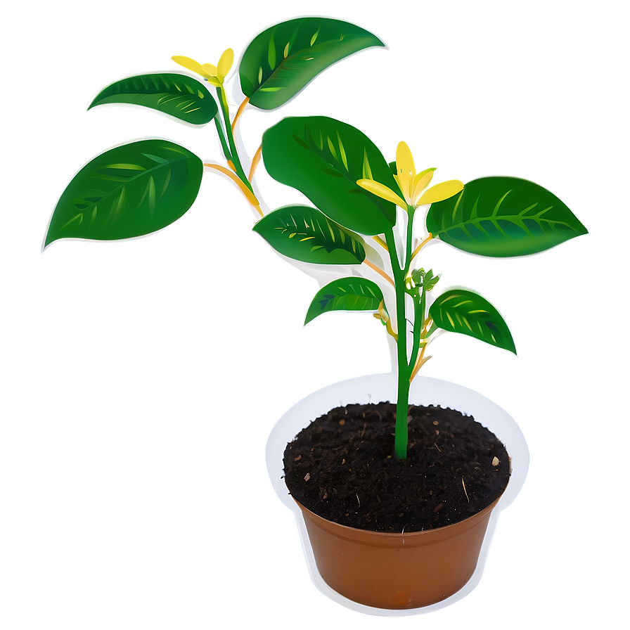 Seedling Plant Png Fek