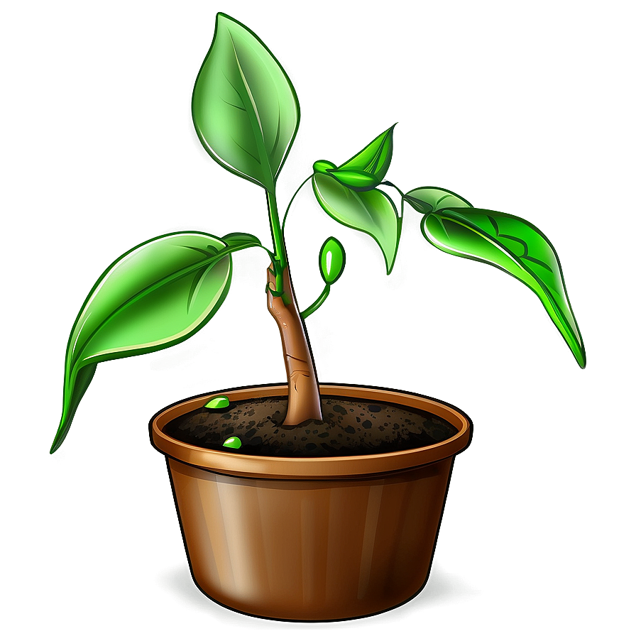 Seedling Plant Png Gvl