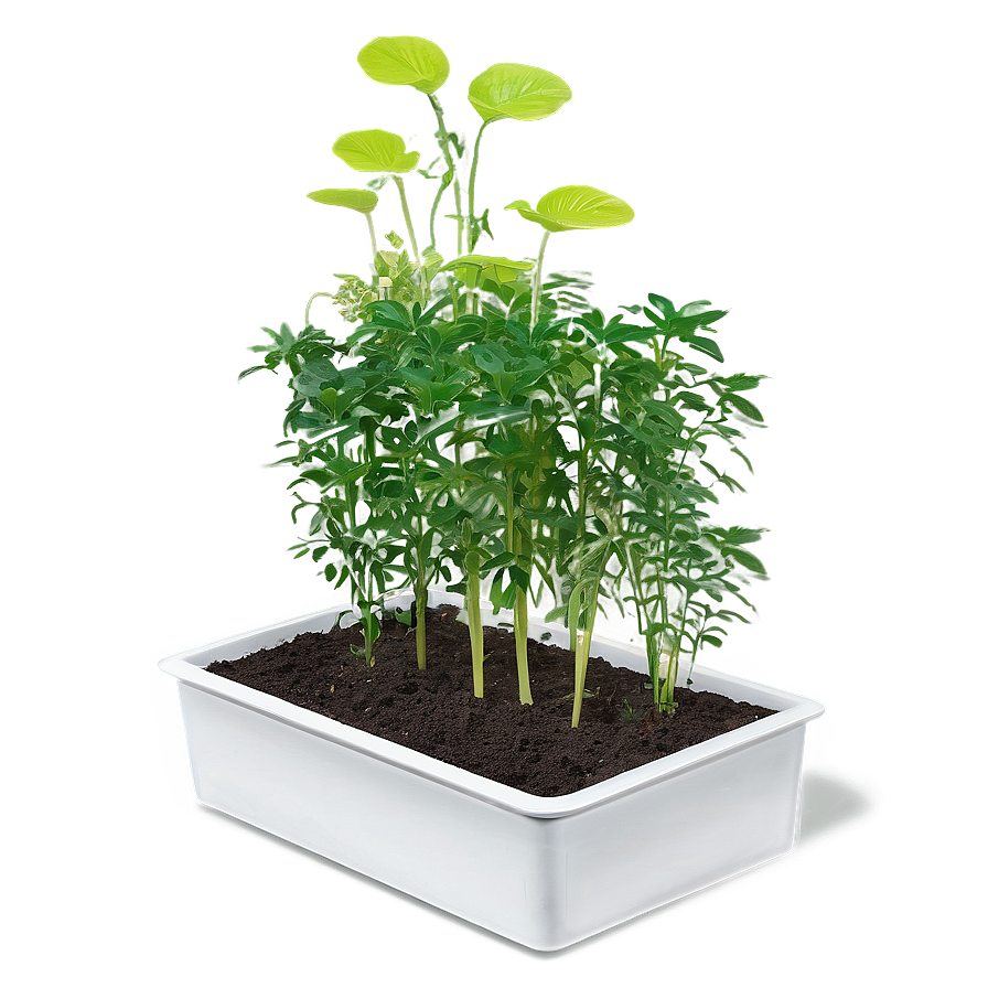 Self-watering Planter Box Png Yvo