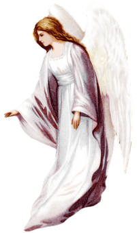 Serene Angel Illustration PNG with transparent background
