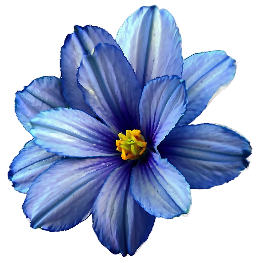 Serene Blue Flower PNG 90 PNG with transparent background