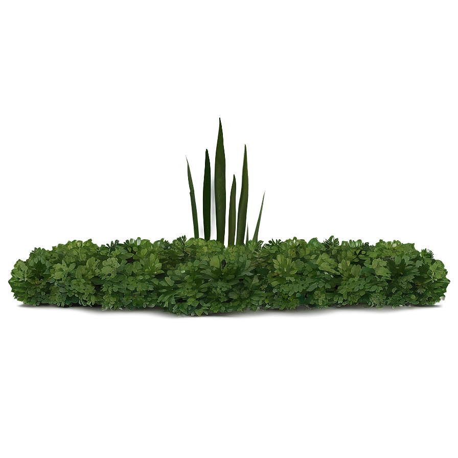 Serene Bush Png 94