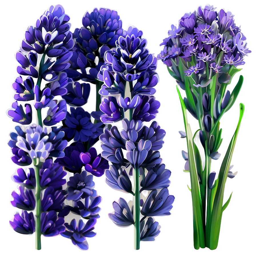 Serene Lavender Png 2