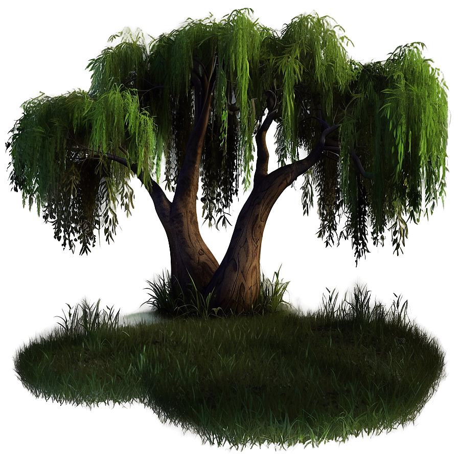 Serene Willow Trees Png 62