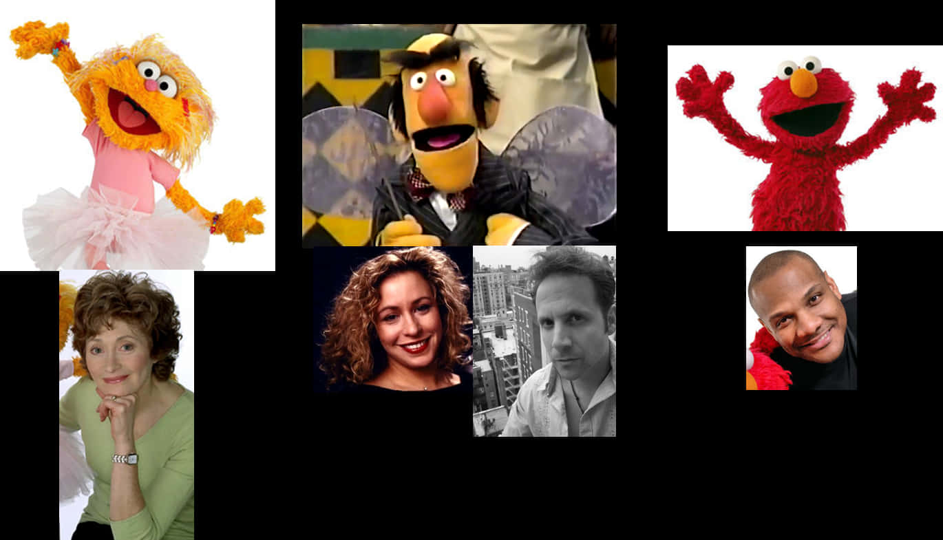 Sesame Street Charactersand Guests Collage