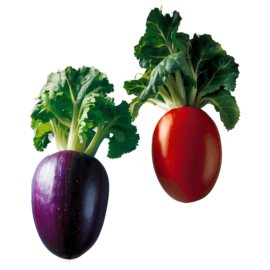 Shade-grown Vegetables Png 18