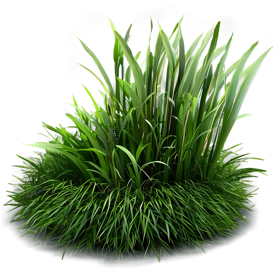 Shaded Grass Patch Png Ytr26