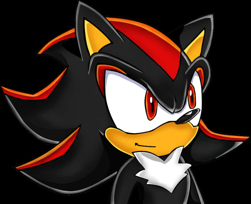 Shadow The Hedgehog Portrait