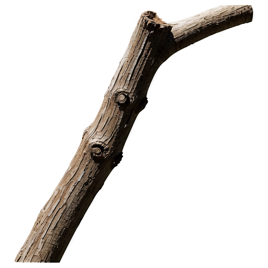 Shadowed Twig Png 45