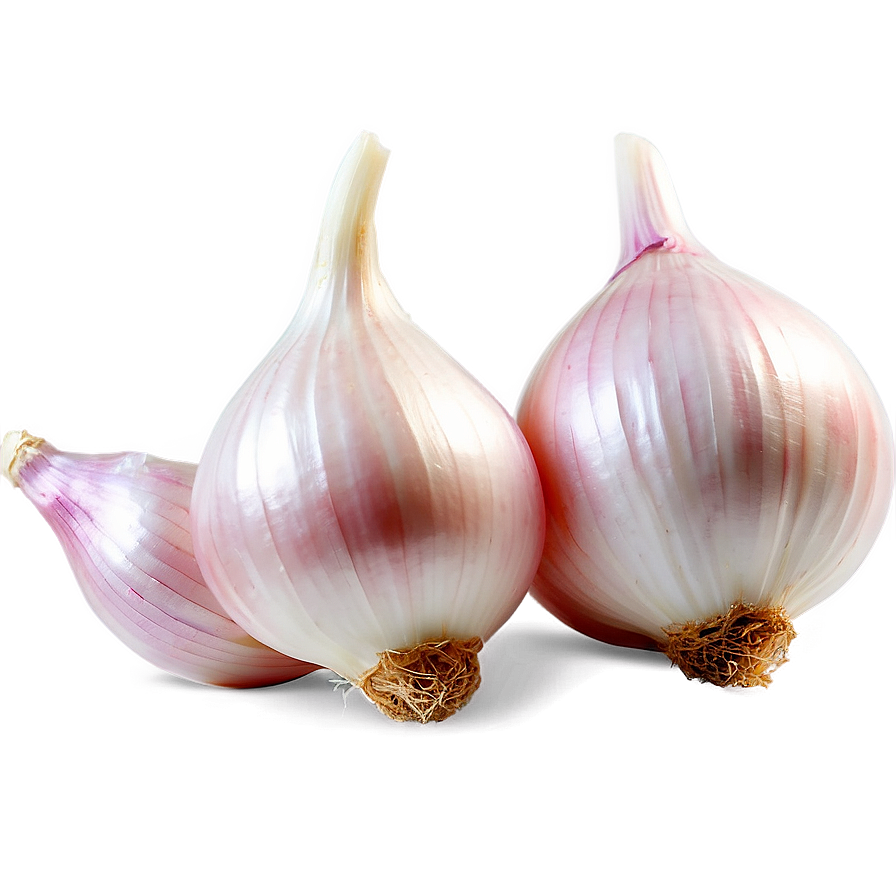 Shallots Onion Png Oag64