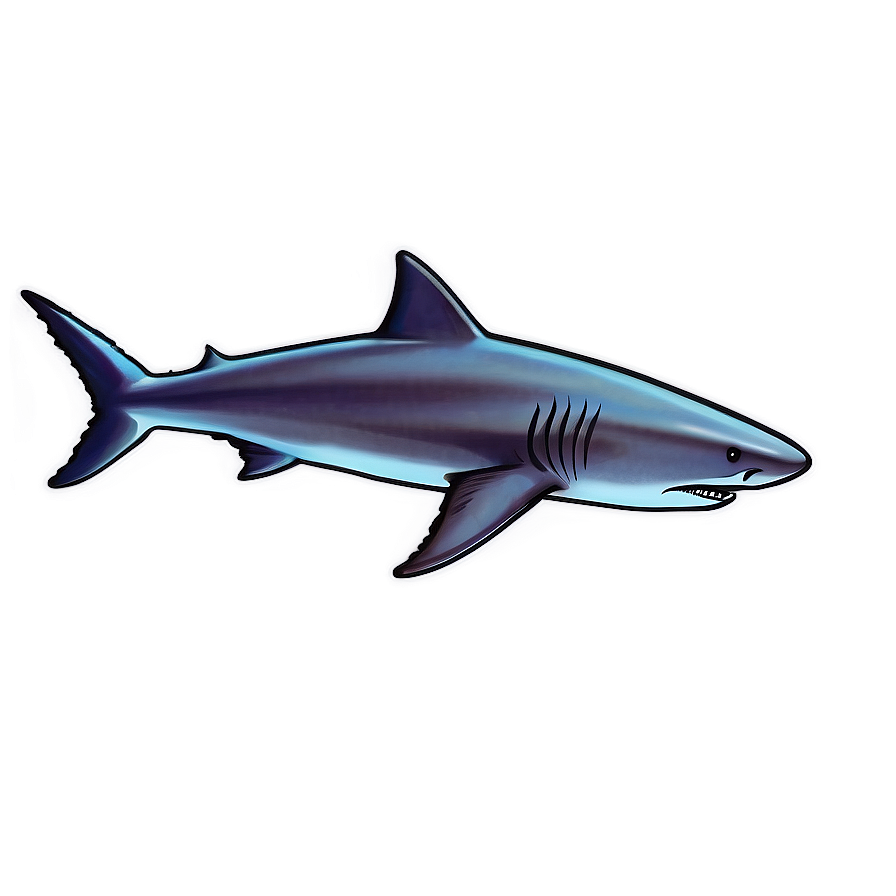 Shark Illustration PNG 05032024 PNG with transparent background