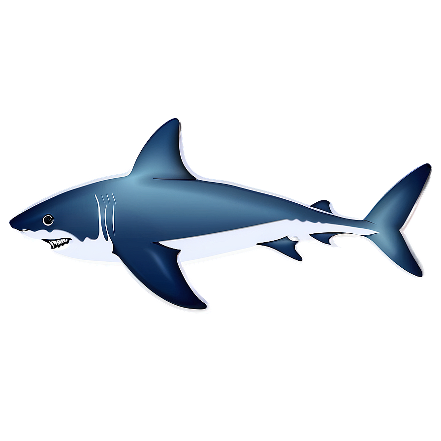 Shark Illustration PNG 94 PNG with transparent background