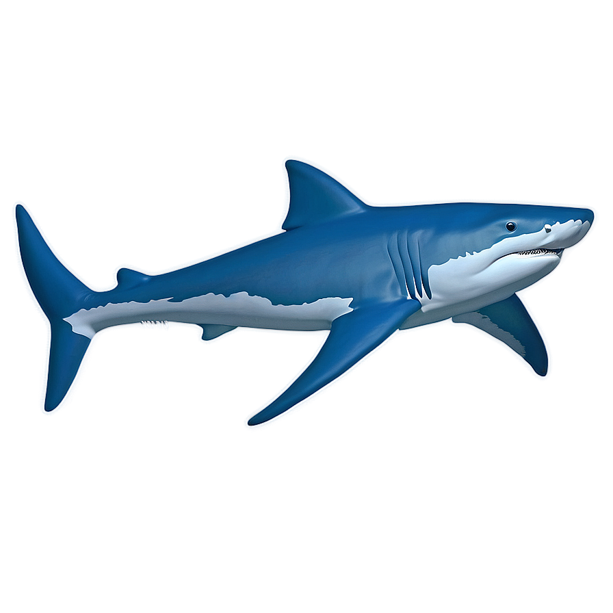 Shark Outline Drawing Png 90