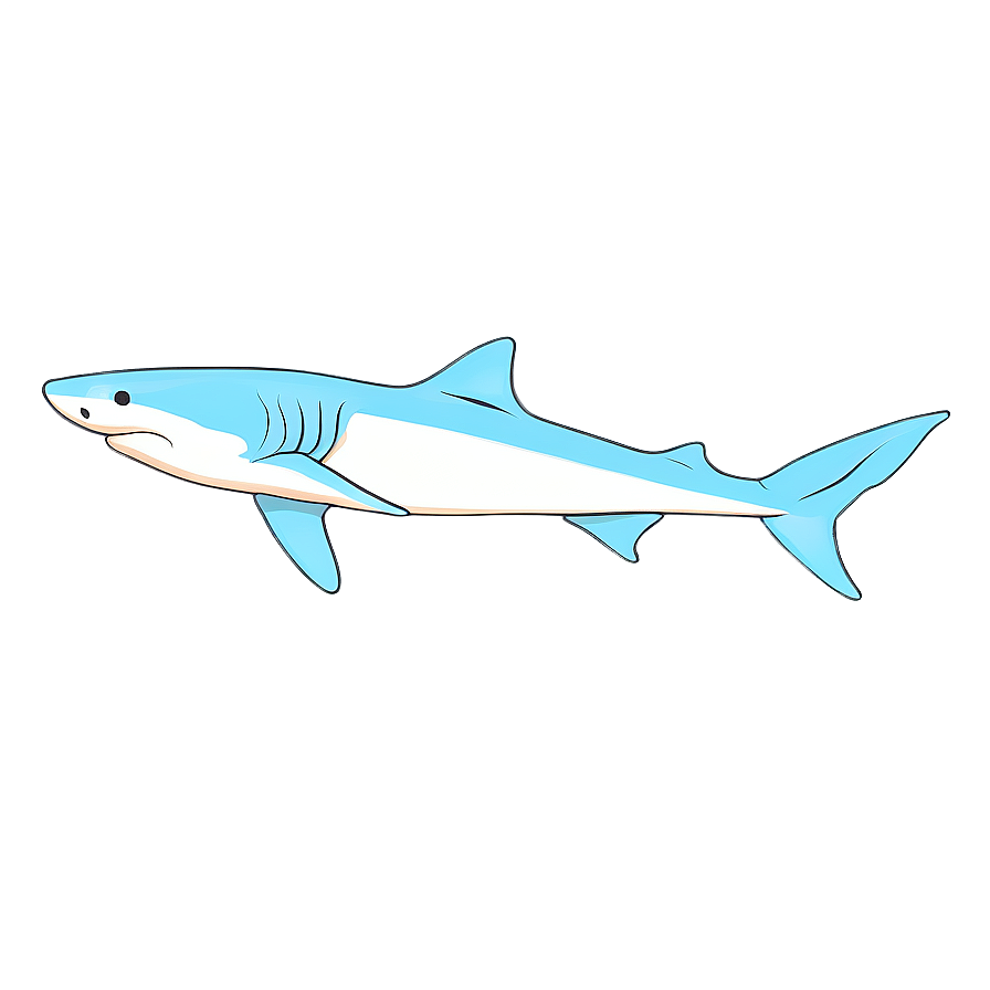 Shark Outline Drawing Png Uhn