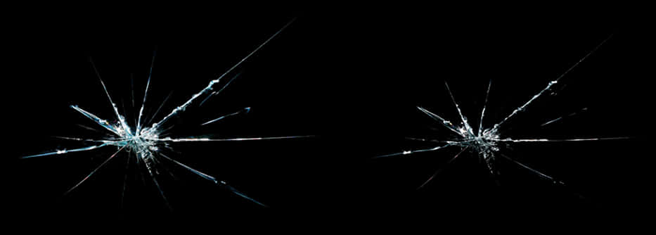 Transparent Glass Texture Transparent Png - Insect, Png Download PNG image with a transparent background, free high-resolution download