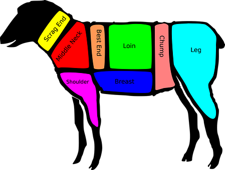 Sheep Cuts Diagram PNG with transparent background