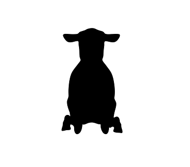 Sheep Silhouette Graphic PNG with transparent background