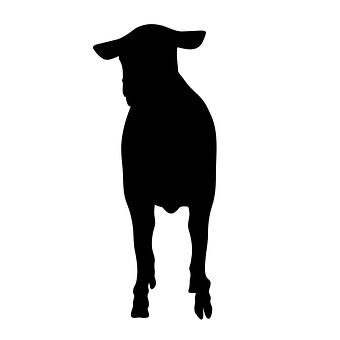 Sheep Silhouette Graphic PNG with transparent background