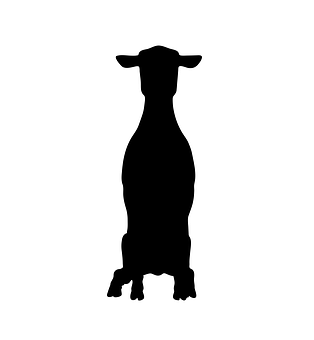 Sheep Silhouette Profile