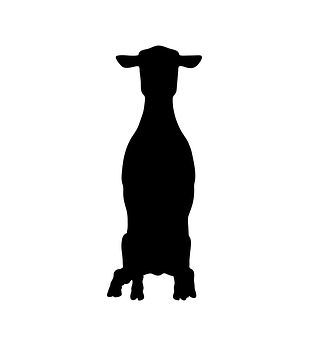 Sheep Silhouette Profile PNG with transparent background