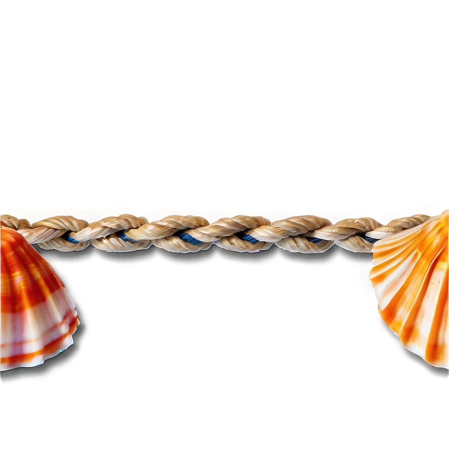 Shells And Nautical Rope Png 56