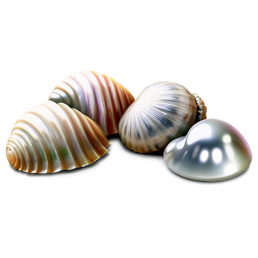 Shells With Pearls Png 06212024