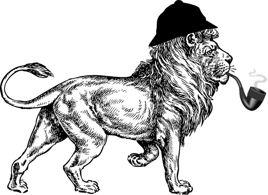 Sherlock Lion - Expedition Maasai Safaris, HD Png Download PNG with transparent background