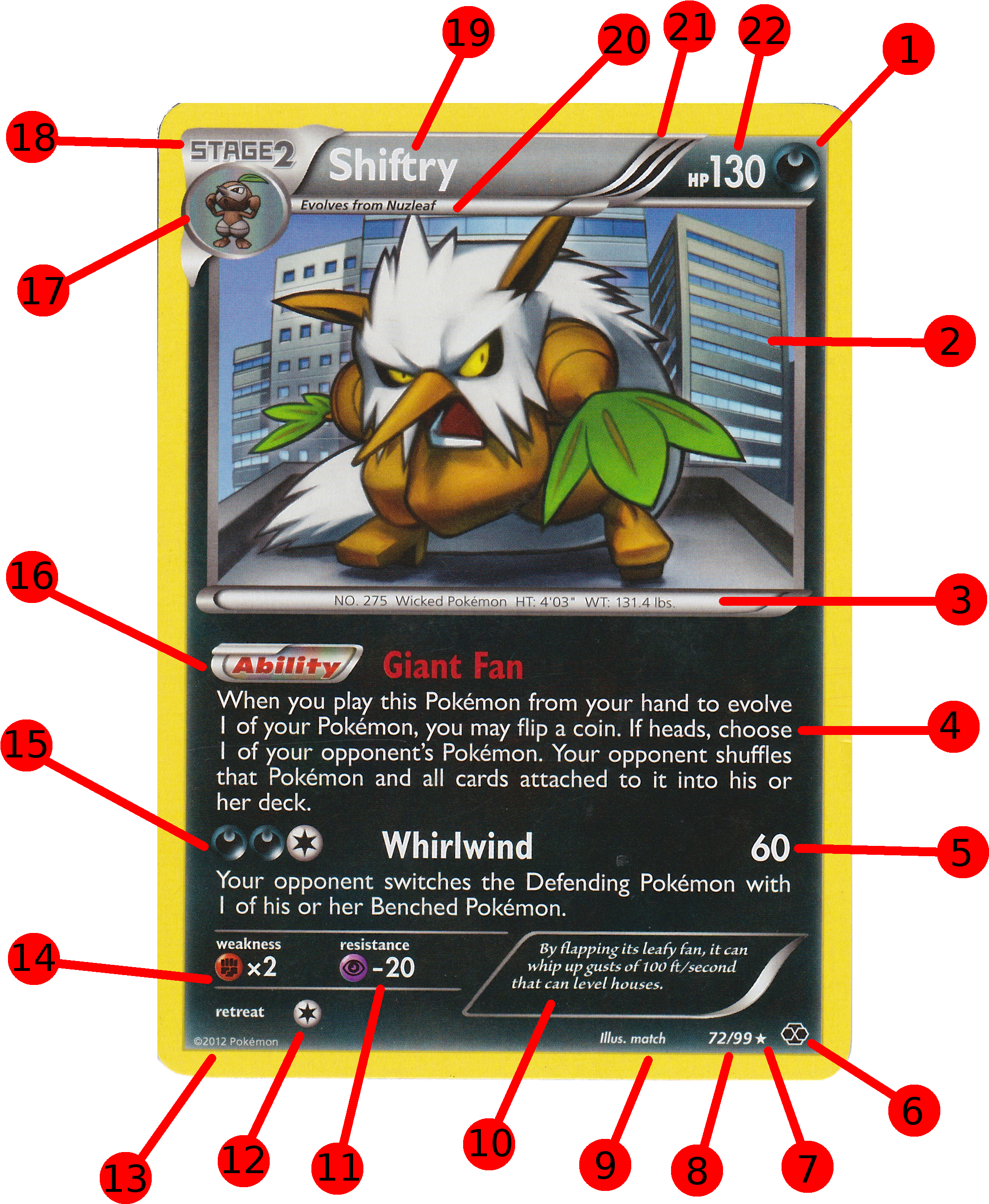 Shiftry Pokemon Card Annotated