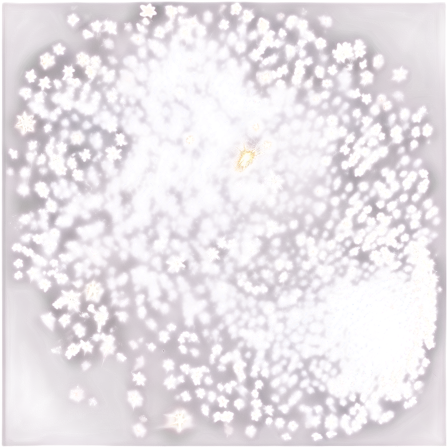 Shimmering Dust Particles Overlay Png 06122024