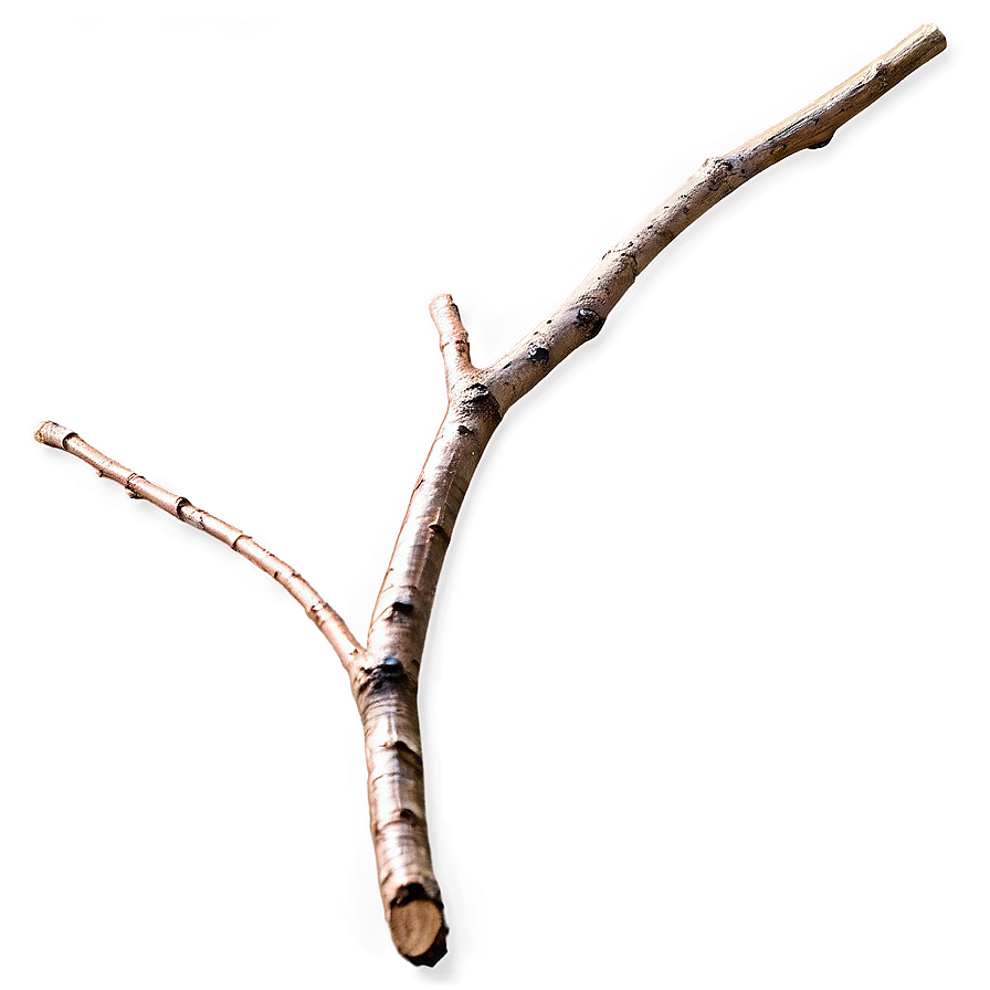 Shiny Twig Png 06132024