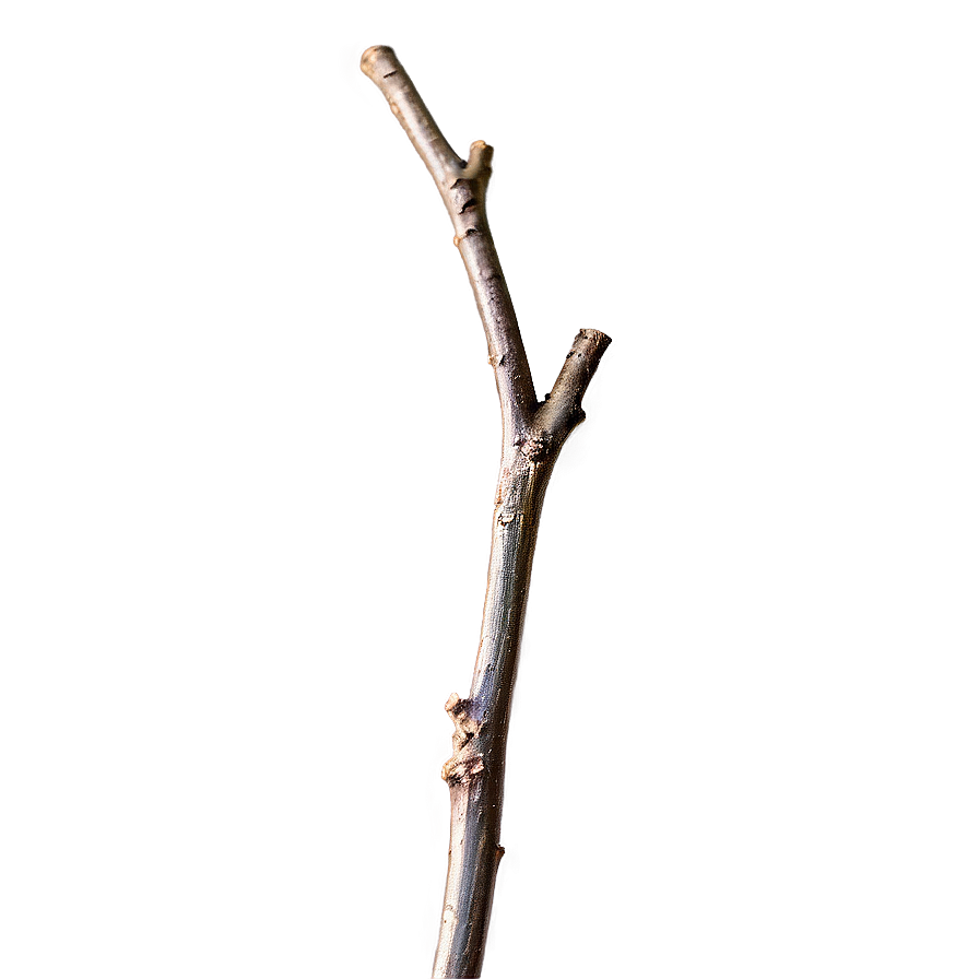 Shiny Twig Png 06132024