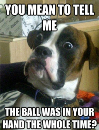 Shocked Dog Ball Revelation Meme