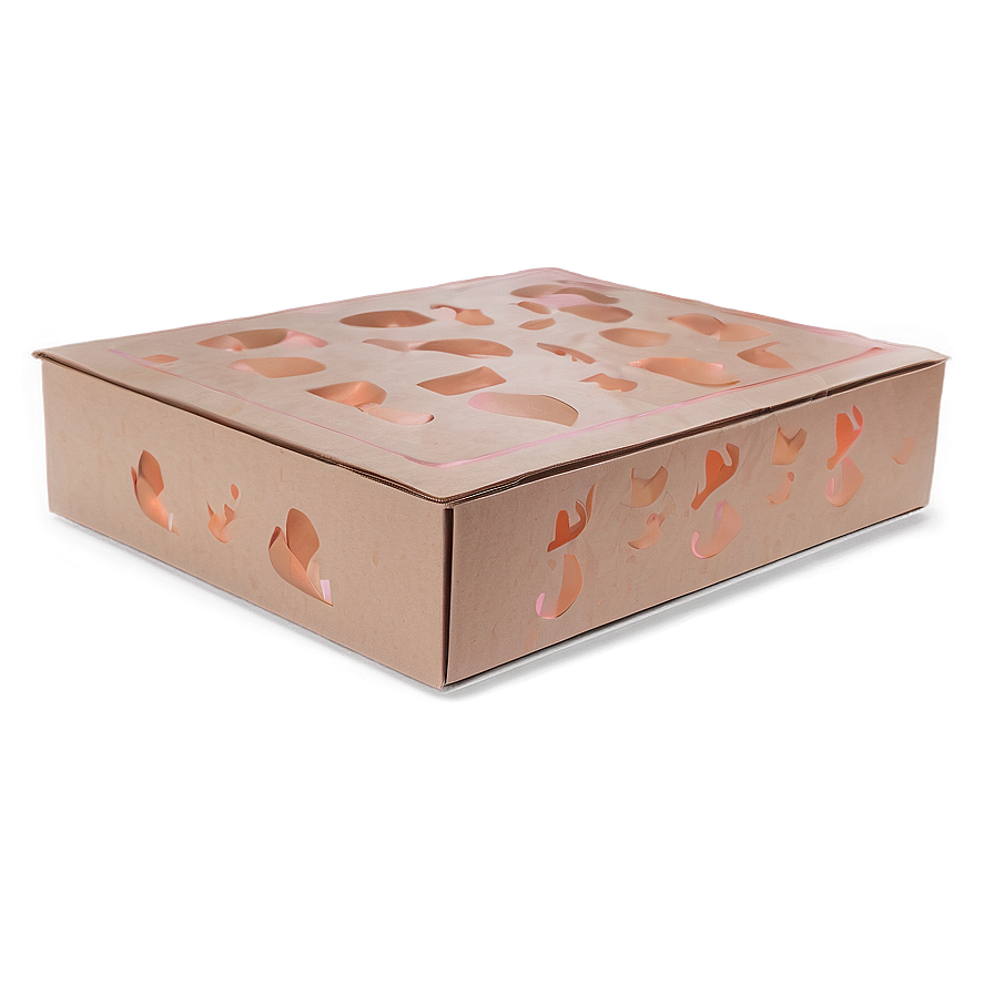 Shoe Box With Lid Png Spj74