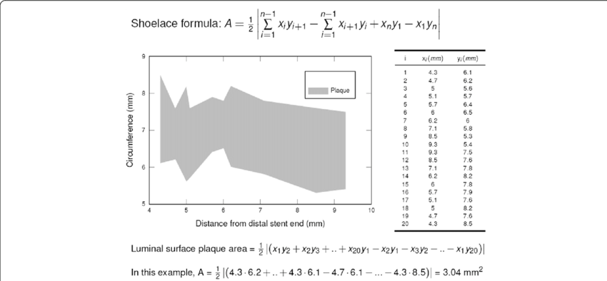 Shoelace Formula Graphand Calculation