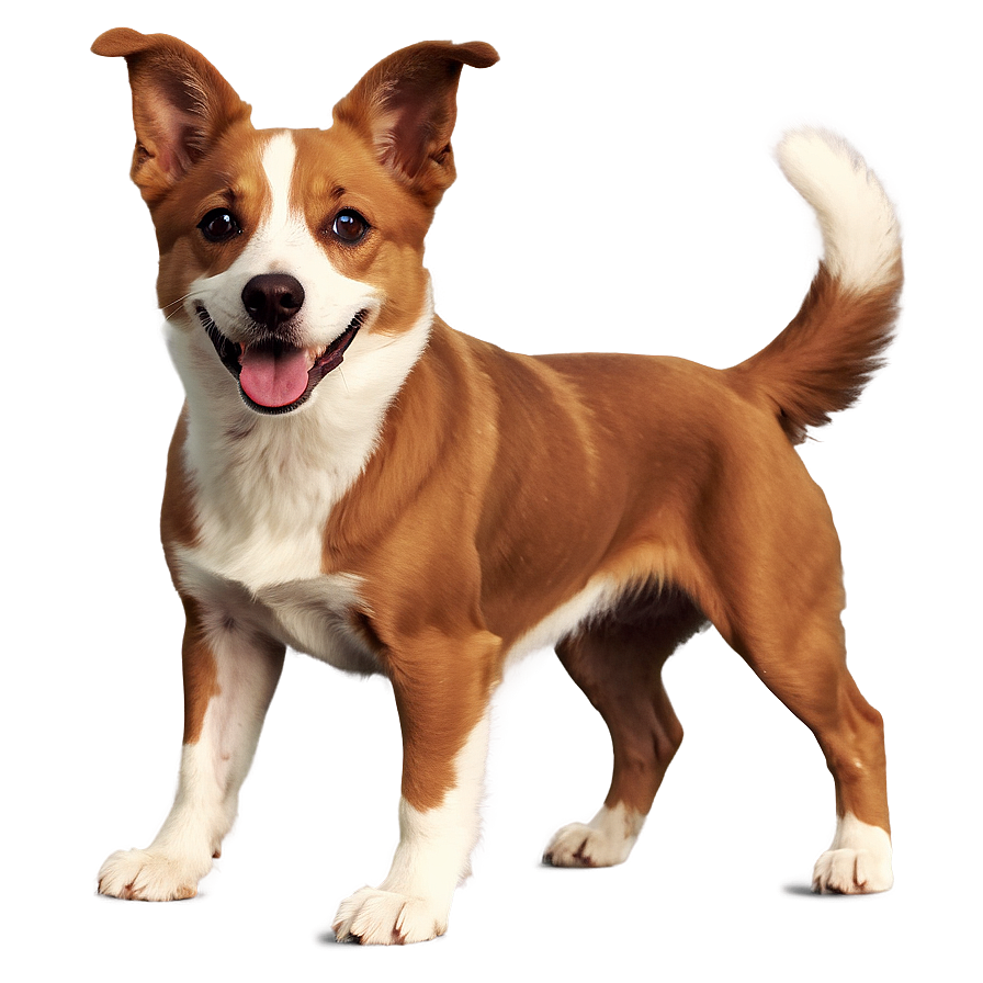 Short Haired Dogs PNG sca73 PNG with transparent background