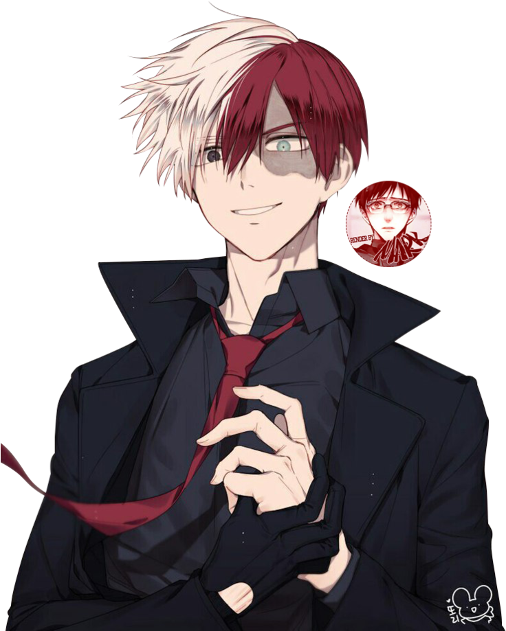 Shouto Todoroki Png - Todoroki Shouto Png, Transparent Png PNG with transparent background