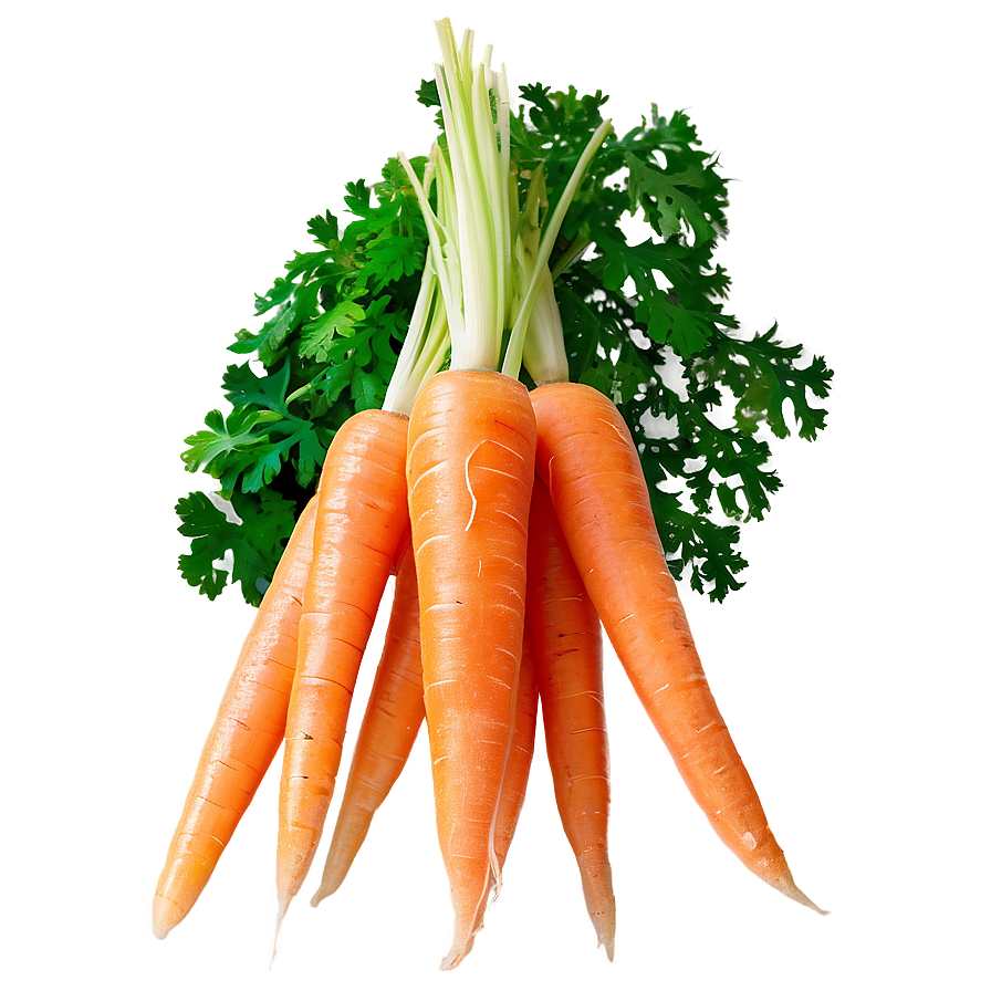 Shredded Carrot Png 05242024