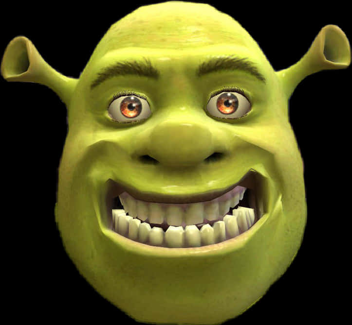 Shrek Smiling Close Up