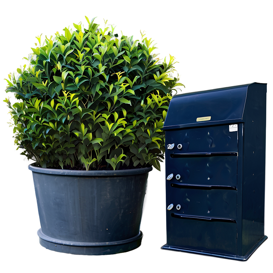 Shrub For Privacy Png Nnd47