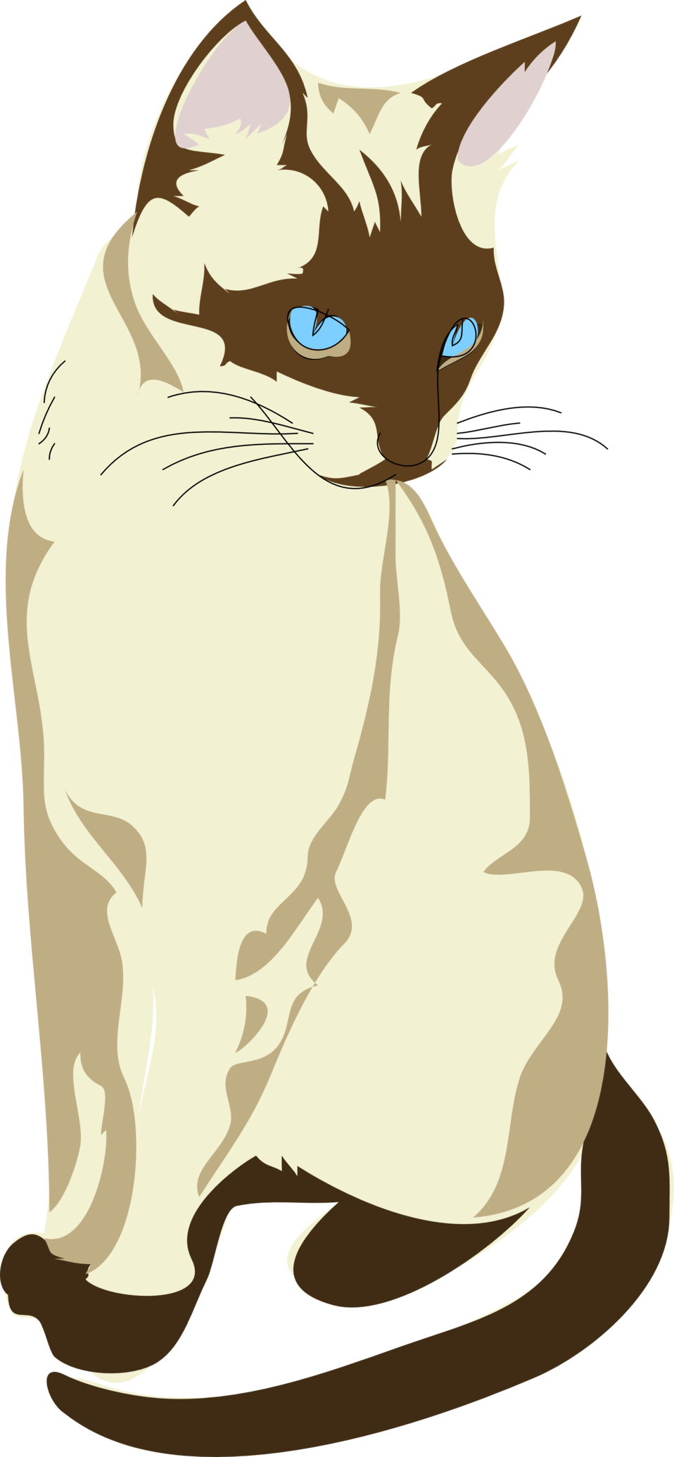 Siamese Cat Blue Eyes Illustration